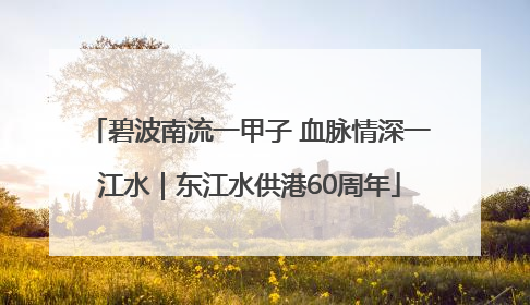 碧波南流一甲子 血脉情深一江水｜东江水供港60周年