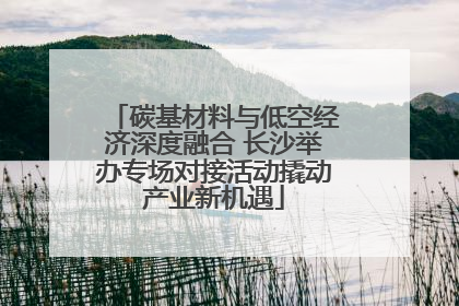 碳基材料与低空经济深度融合 长沙举办专场对接活动撬动产业新机遇