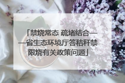 禁烧常态 疏堵结合——省生态环境厅答秸秆禁限烧有关政策问题