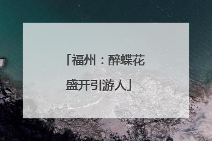 福州：醉蝶花盛开引游人