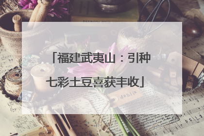 福建武夷山：引种七彩土豆喜获丰收