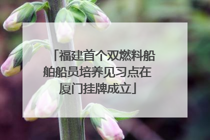 福建首个双燃料船舶船员培养见习点在厦门挂牌成立