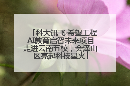 科大讯飞·希望工程AI教育启智未来项目走进云南五校，会泽山区亮起科技星火