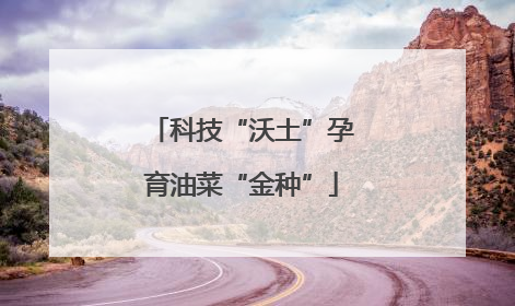 科技“沃土”孕育油菜“金种”
