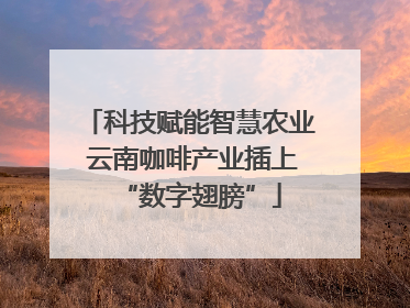 科技赋能智慧农业 云南咖啡产业插上“数字翅膀”
