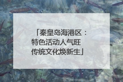 秦皇岛海港区：特色活动人气旺 传统文化焕新生