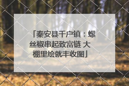 秦安县千户镇：螺丝椒串起致富链 大棚里绘就丰收图