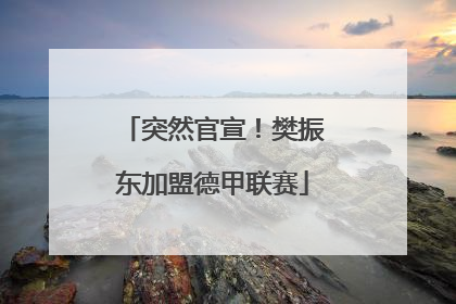 突然官宣！樊振东加盟德甲联赛