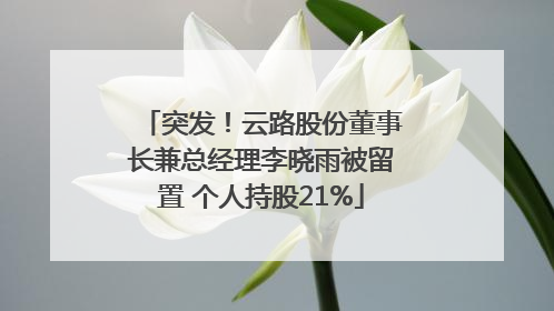突发！云路股份董事长兼总经理李晓雨被留置 个人持股21%