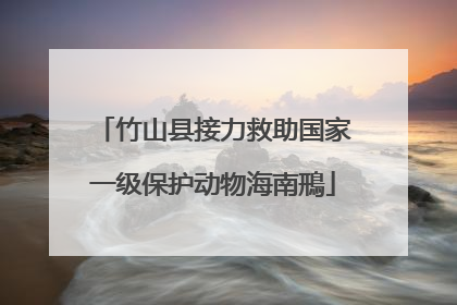 竹山县接力救助国家一级保护动物海南鳽