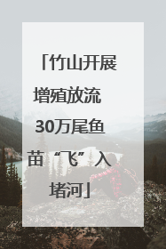 竹山开展增殖放流 30万尾鱼苗“飞”入堵河