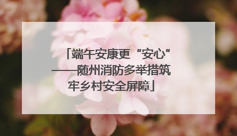 端午安康更“安心”——随州消防多举措筑牢乡村安全屏障
