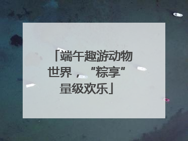 端午趣游动物世界，“粽享”量级欢乐
