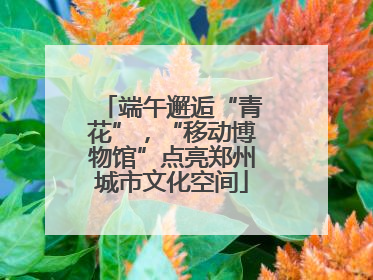 端午邂逅“青花”，“移动博物馆”点亮郑州城市文化空间