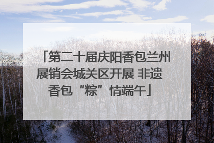 第二十届庆阳香包兰州展销会城关区开展 非遗香包“粽”情端午