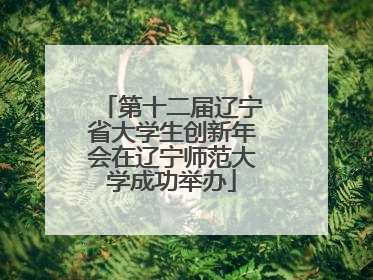 第十二届辽宁省大学生创新年会在辽宁师范大学成功举办