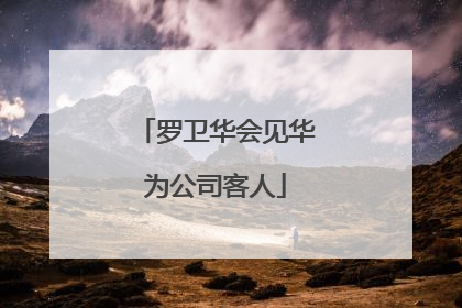 罗卫华会见华为公司客人
