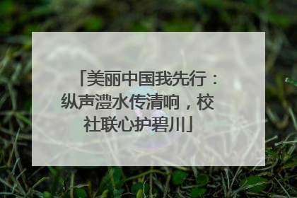 美丽中国我先行：纵声澧水传清响，校社联心护碧川