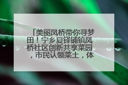 美丽凤桥带你寻梦田！宁乡夏铎铺镇凤桥社区创新共享菜园，市民认领菜土，体验耕种收获乐趣
