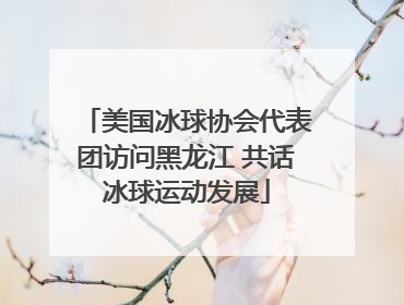 美国冰球协会代表团访问黑龙江 共话冰球运动发展