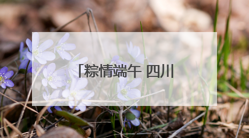 粽情端午 四川省“我们的节日·端午”主题活动在南充启动