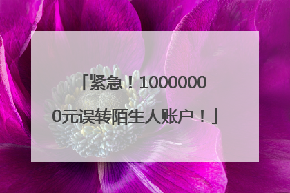 紧急！10000000元误转陌生人账户！