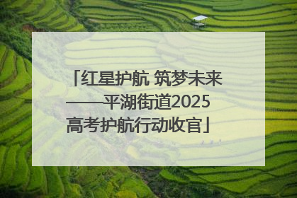 红星护航 筑梦未来——平湖街道2025高考护航行动收官