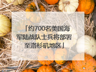 约700名美国海军陆战队士兵将部署至洛杉矶地区