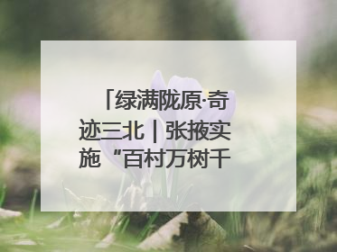 绿满陇原·奇迹三北｜张掖实施“百村万树千里林”工程