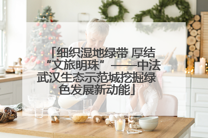 细织湿地绿带 厚结“文旅明珠”——中法武汉生态示范城挖掘绿色发展新动能