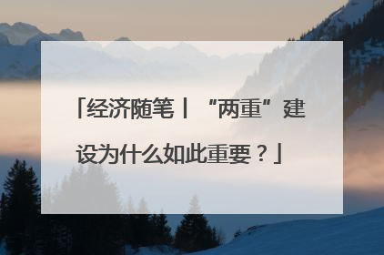 经济随笔丨“两重”建设为什么如此重要?