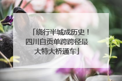 绕行半城成历史！四川自贡单跨跨径最大特大桥通车