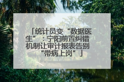 统计员变“数据医生”：宁阳前置纠错机制让审计报表告别“带病上岗”