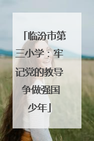 临汾市第三小学：牢记党的教导 争做强国少年