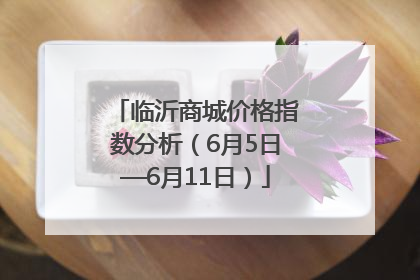 临沂商城价格指数分析（6月5日—6月11日）