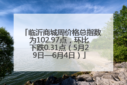 临沂商城周价格总指数为102.97点，环比下跌0.31点（5月29日—6月4日）