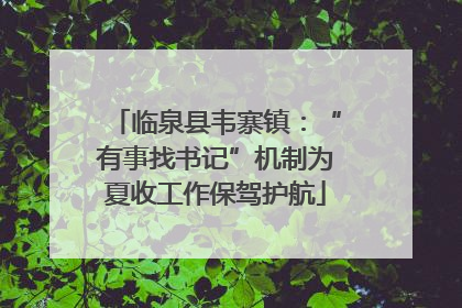 临泉县韦寨镇：“有事找书记”机制为夏收工作保驾护航