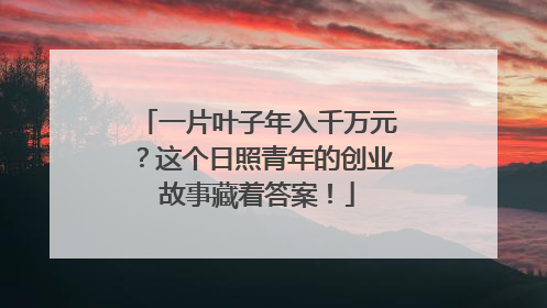 一片叶子年入千万元？这个日照青年的创业故事藏着答案！