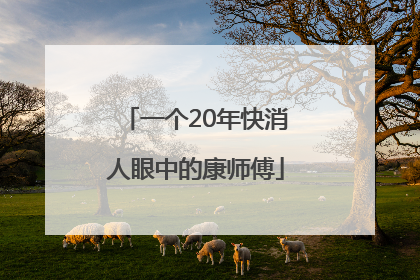一个20年快消人眼中的康师傅