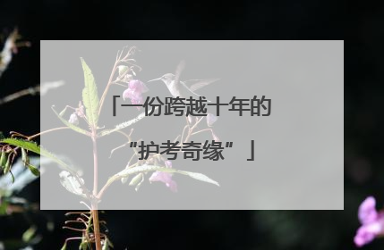 一份跨越十年的“护考奇缘”