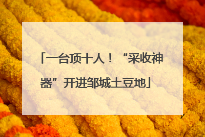 一台顶十人！“采收神器”开进邹城土豆地