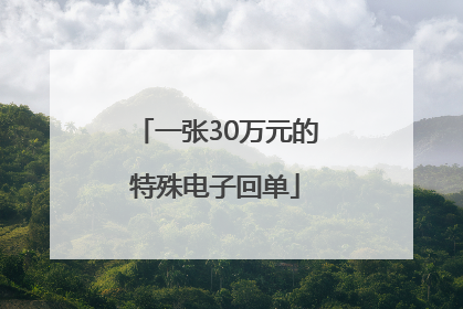 一张30万元的特殊电子回单