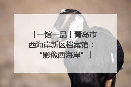 一馆一品丨青岛市西海岸新区档案馆：“影像西海岸”