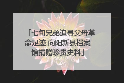 七旬兄弟追寻父母革命足迹 向阳新县档案馆捐赠珍贵史料