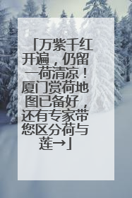万紫千红开遍，仍留一荷清凉！厦门赏荷地图已备好，还有专家带您区分荷与莲→