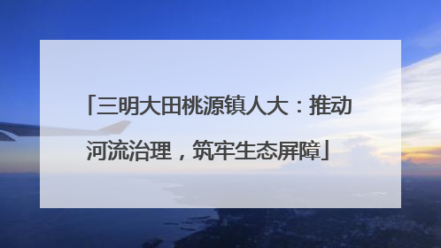 三明大田桃源镇人大：推动河流治理，筑牢生态屏障