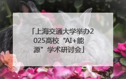 上海交通大学举办2025高校“AI+能源”学术研讨会