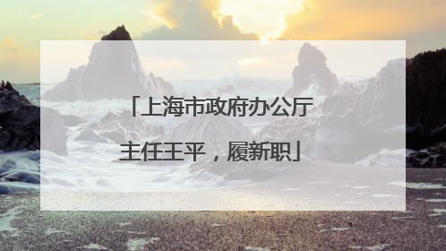 上海市政府办公厅主任王平，履新职