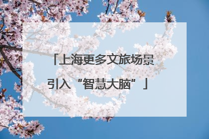 上海更多文旅场景引入“智慧大脑”