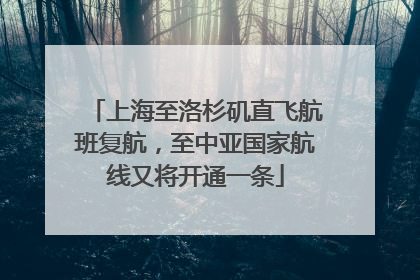 上海至洛杉矶直飞航班复航，至中亚国家航线又将开通一条